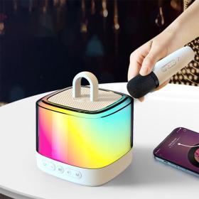 Microphone karaoké sans fil multifonctionnel haut-parleur Bluetooth (U16)